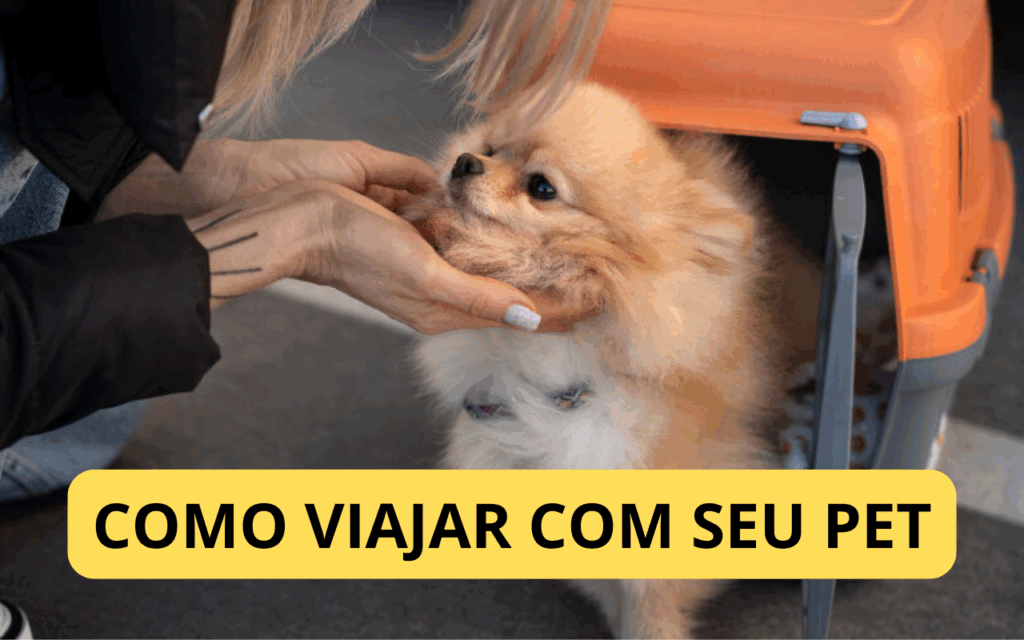 Viagem internacional com pets: vacinas e quarentenas