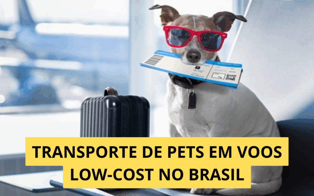 O que muda nas regras de transporte de pets nas companhias low-cost