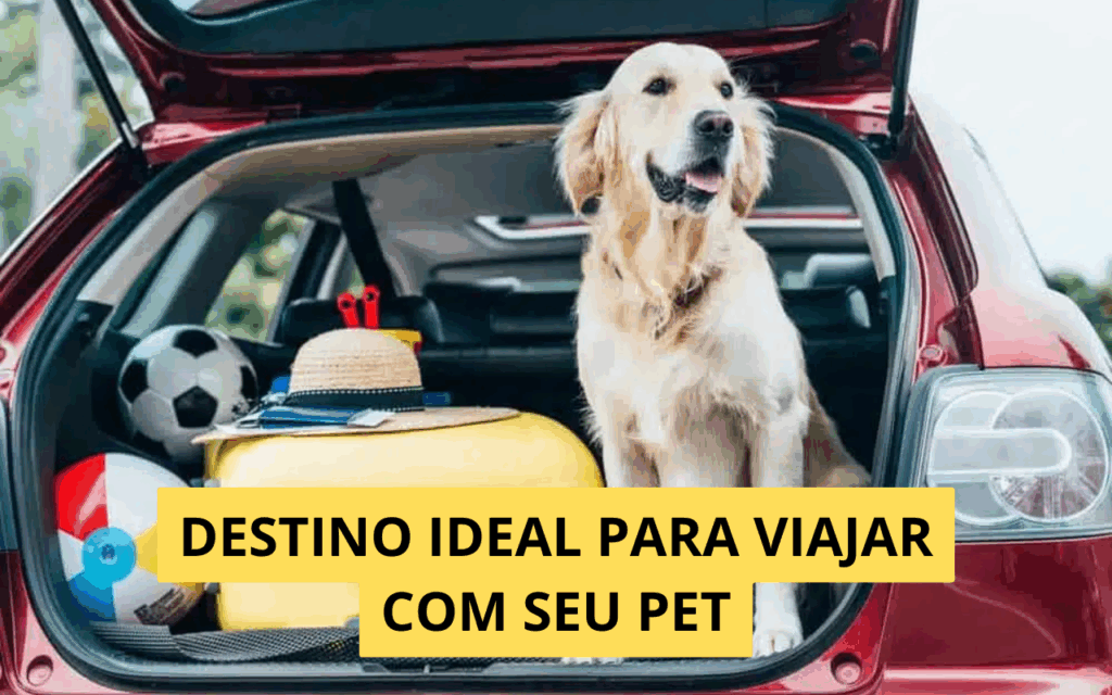 Como escolher o destino ideal para viajar com seu bichinho