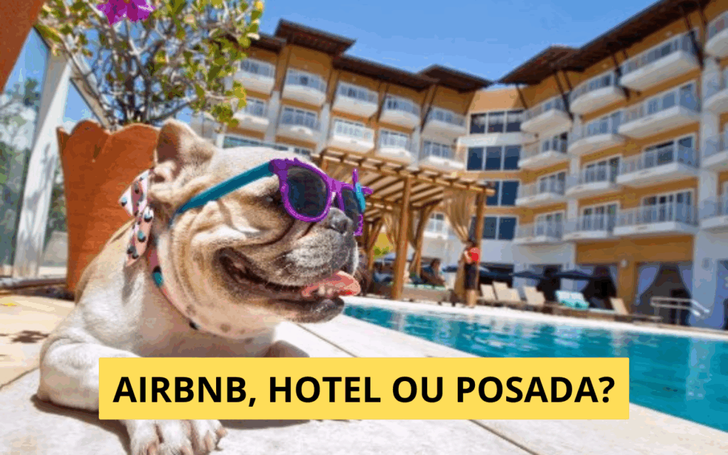 Airbnb, hotel ou pousada: onde seu pet será mais bem-vindo?