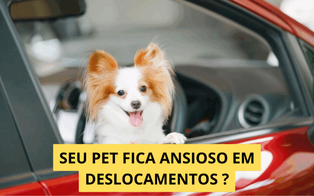 Como lidar com ansiedade em pets durante deslocamentos