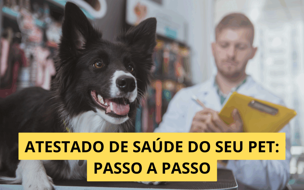 Passo a passo para tirar o atestado de saúde do pet