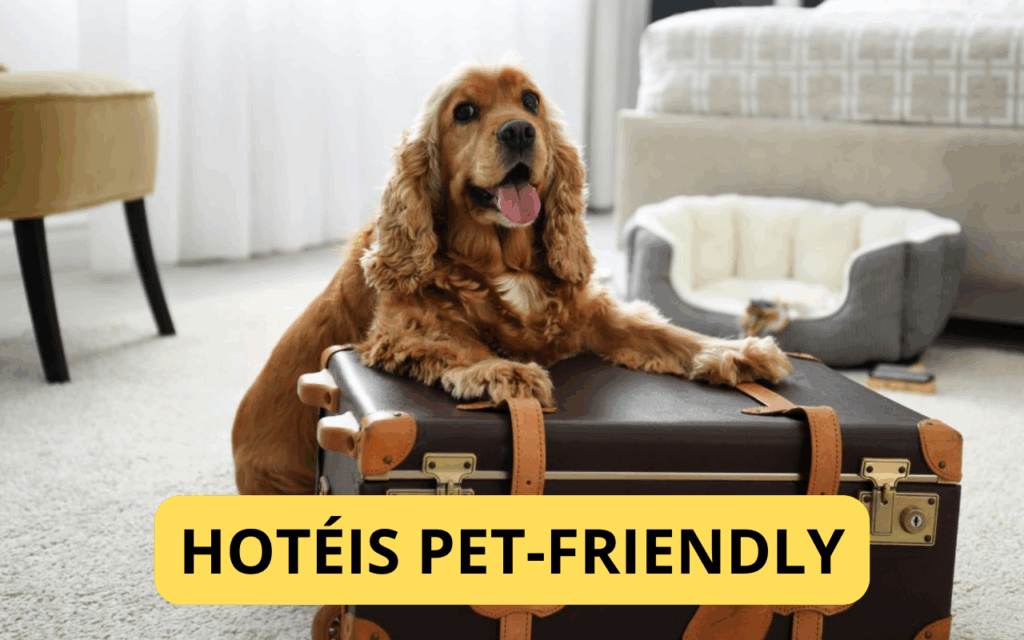 Checklist para escolher uma hospedagem pet-friendly ideal