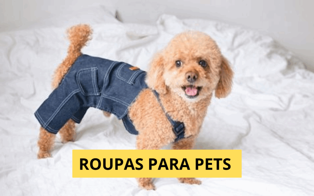 Guia de Compra: Roupas e Calçados para Proteger seu Pet em Viagens ao Ar Livre