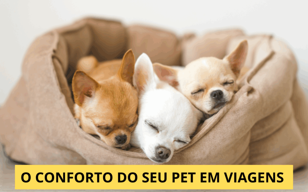 Camas e Almofadas de Viagem para Pets: Conforto Mesmo Fora de Casa