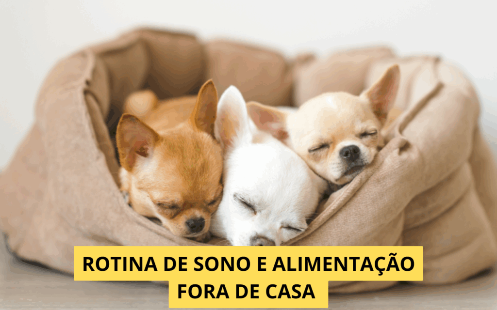 Como manter a rotina de sono e alimentação fora de casa