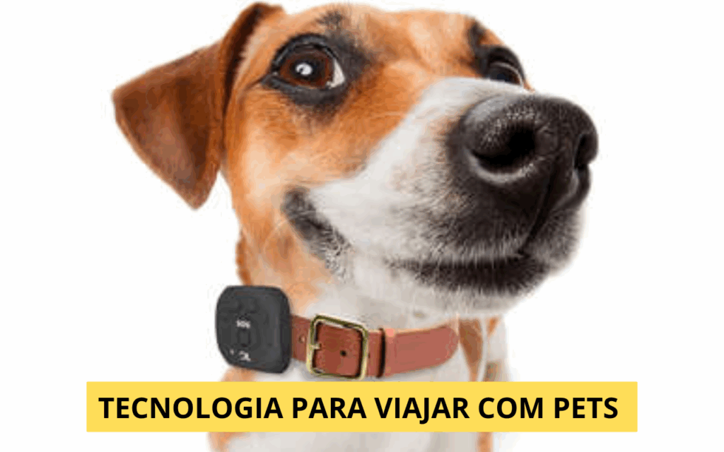 Itens Tecnológicos para Viajar com Pets: Bebedouro Inteligente, Rastreador GPS e Mais