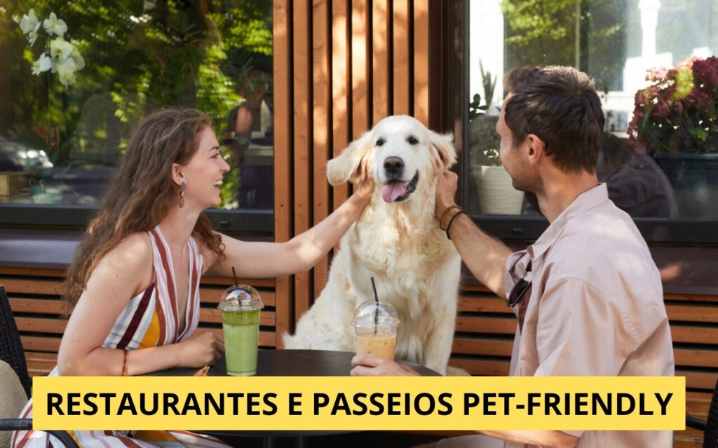 Restaurantes e passeios pet-friendly: como montar um roteiro completo