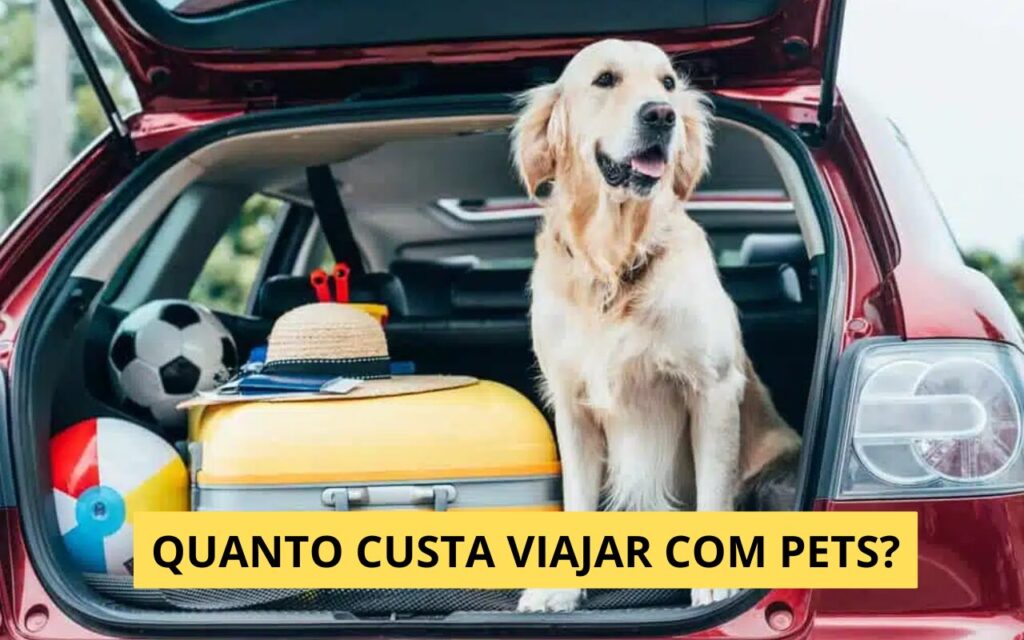 Quanto custa viajar com pets? Guia de gastos e como economizar