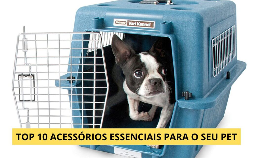 Top 10 acessórios essenciais para o seu pet
