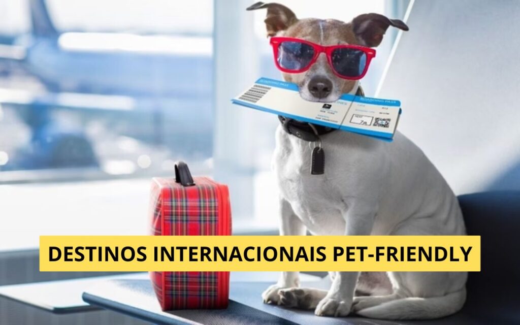 Destinos Internacionais Pet-Friendly: Explorando o Mundo com seu Companheiro