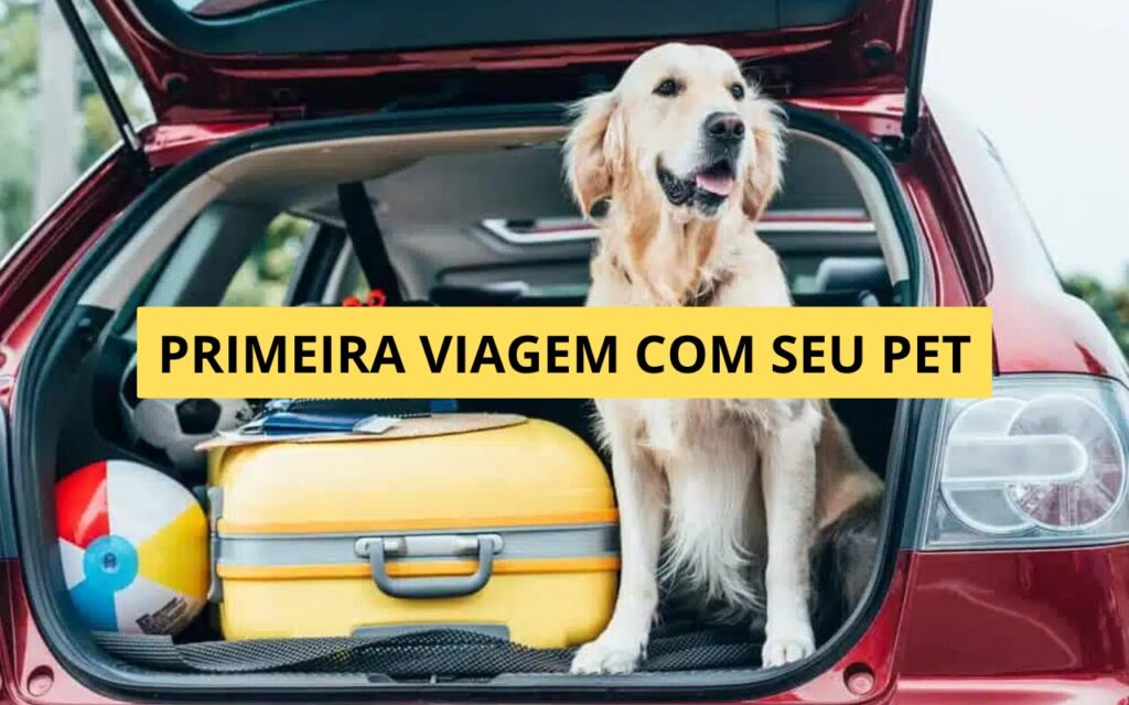 Como preparar seu pet para a primeira viagem