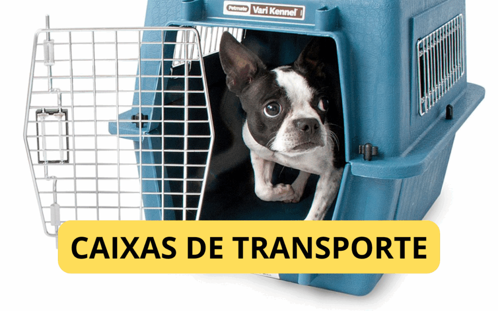 Os Melhores Tipos de Caixa de Transporte para Diferentes Meios de Transporte