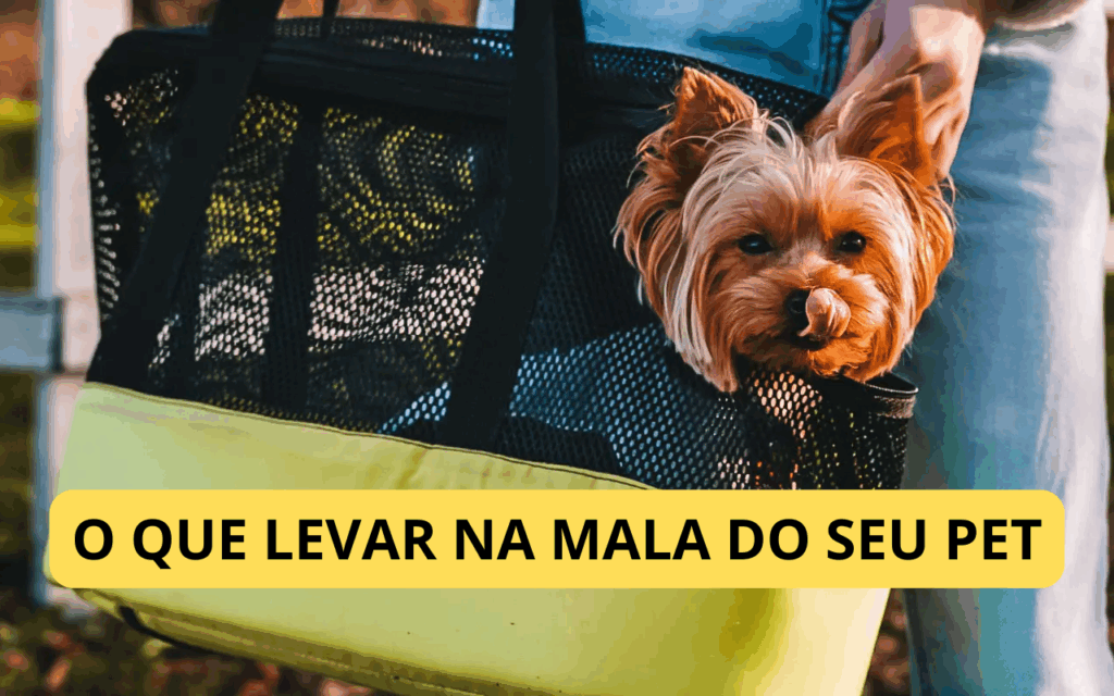 Checklist completo: o que levar na mala do seu pet
