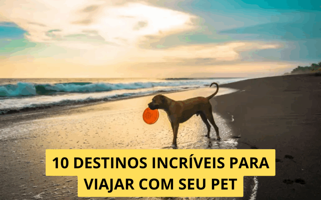 10 destinos brasileiros incríveis para curtir com seu pet