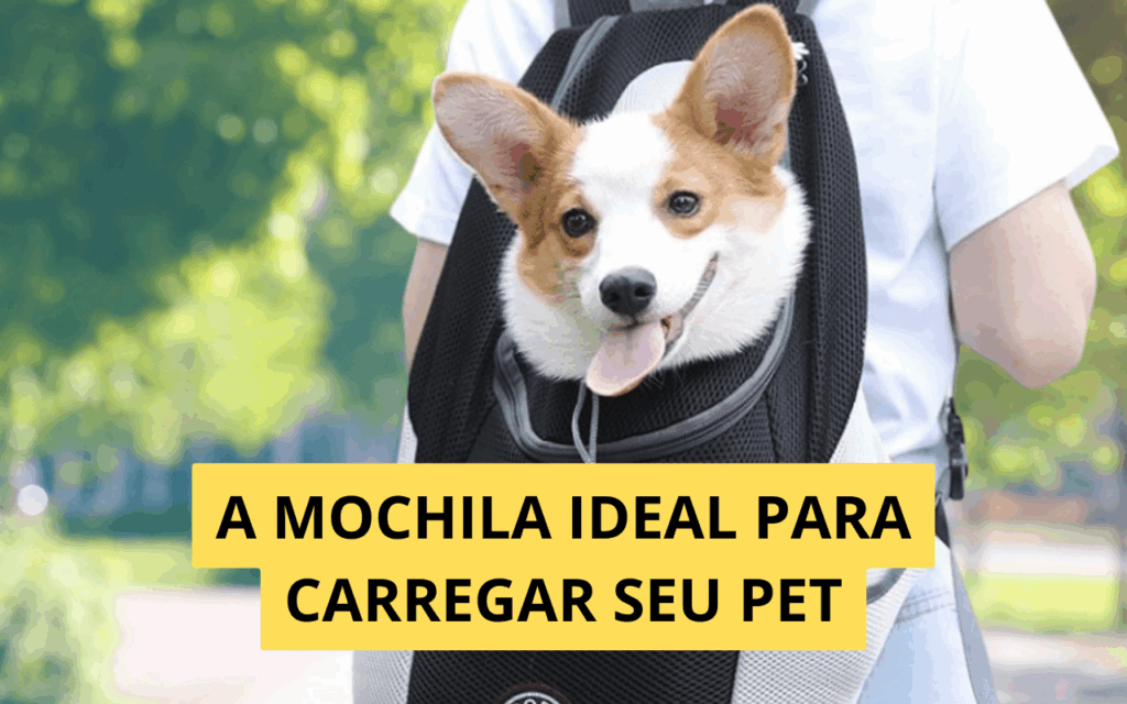 Como Escolher a Mochila Ideal para Levar seu Pet em Viagens e Passeios